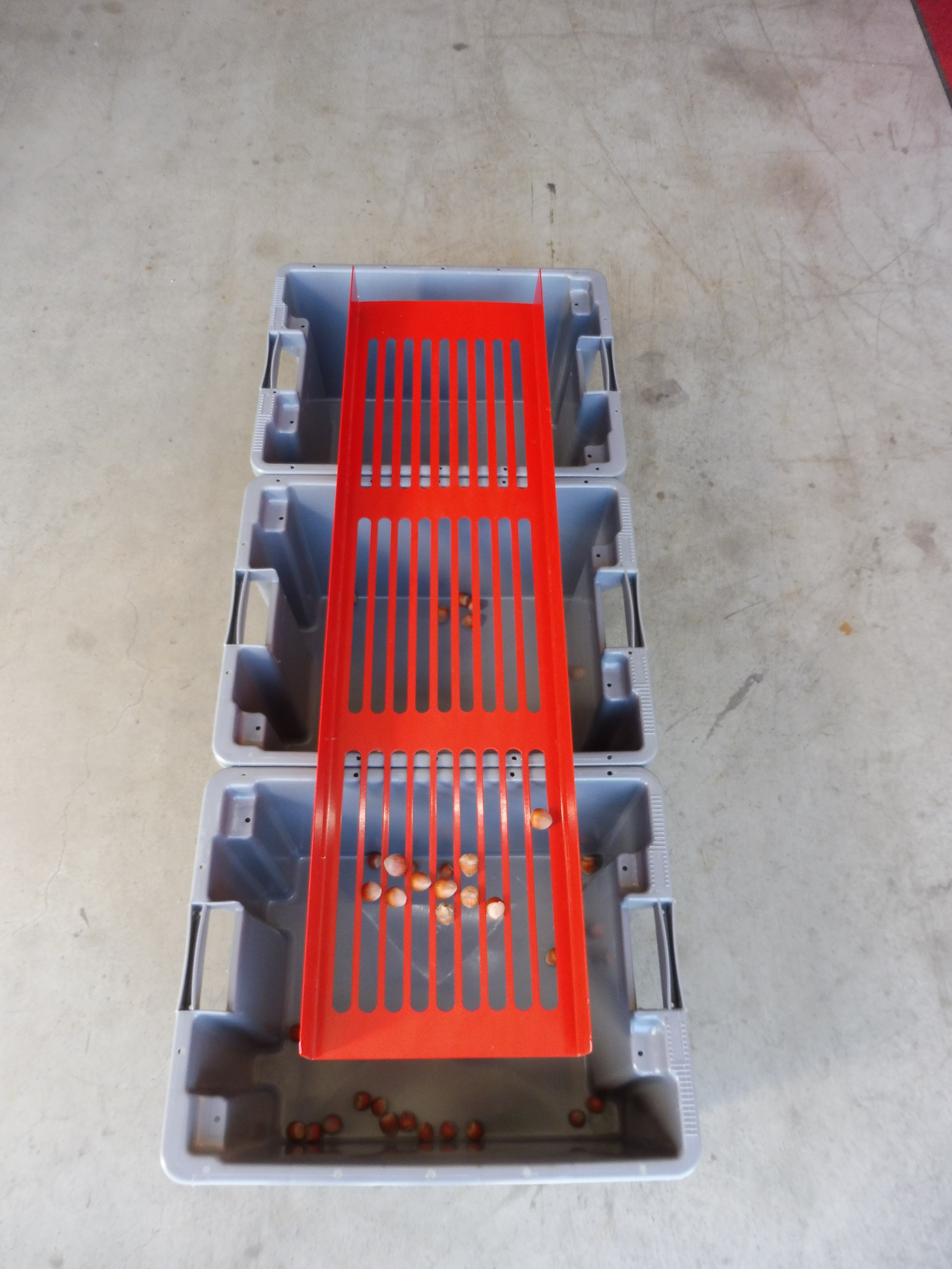 Handsieb Haselnuss 16/18/20mm