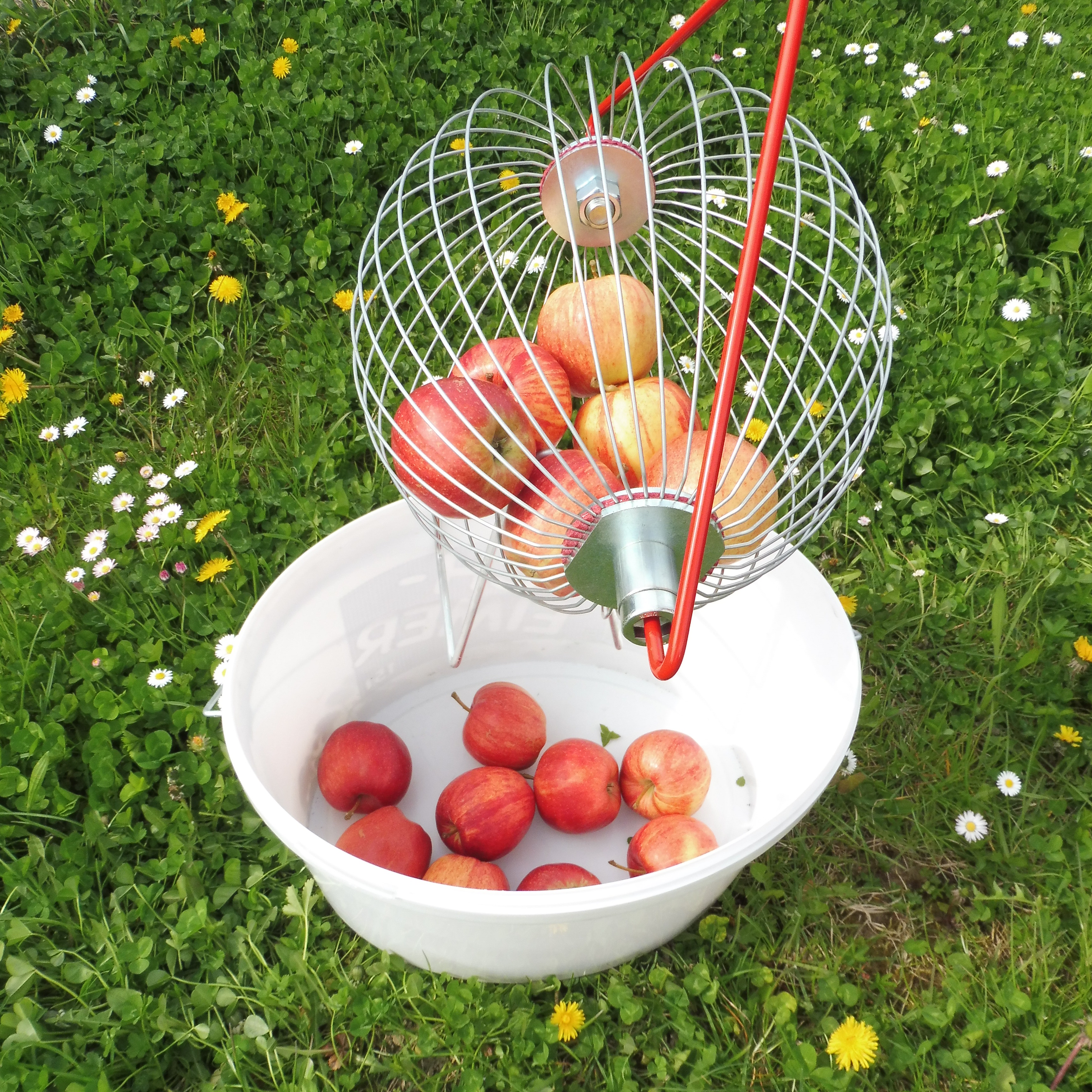 Rollblitz Apfel