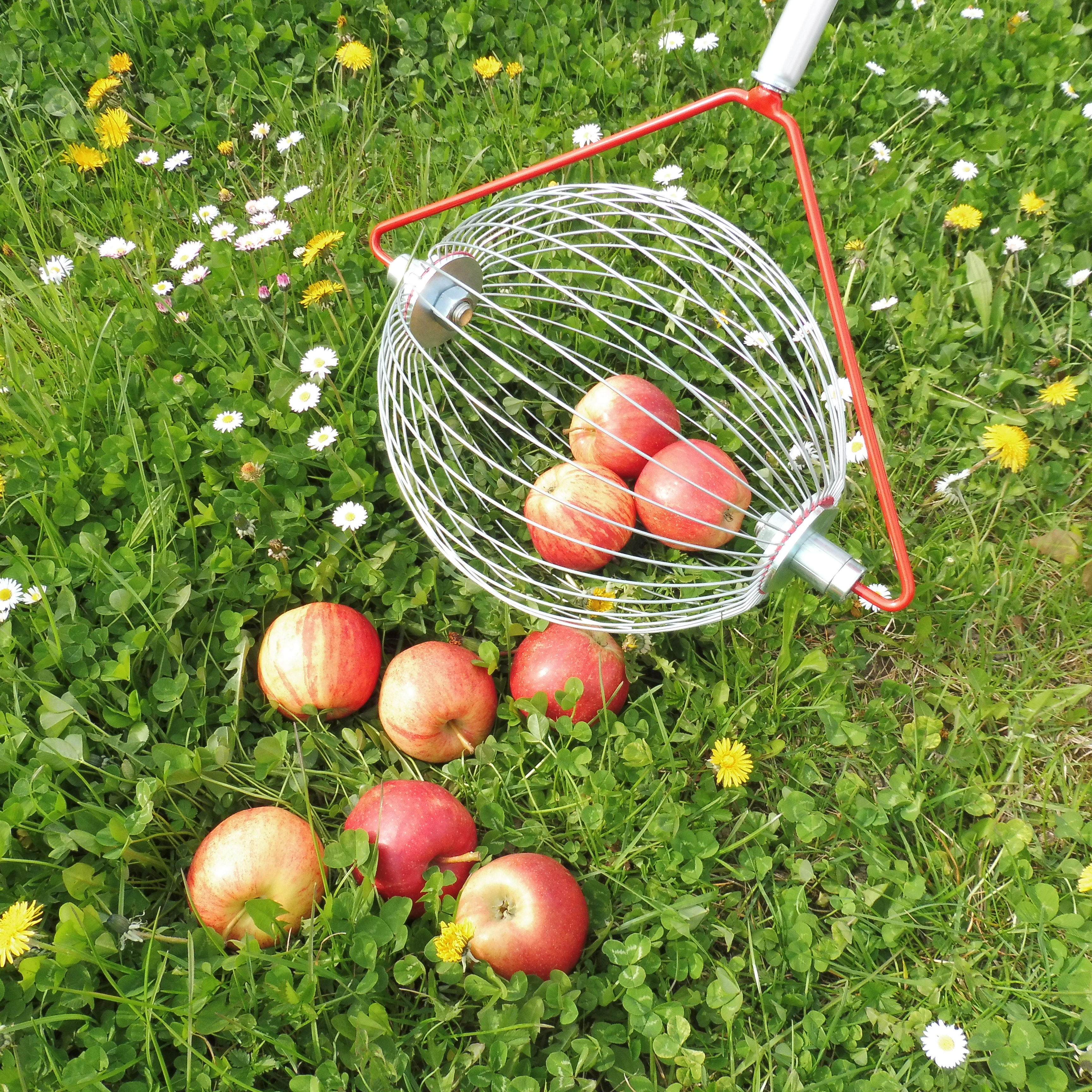 Rollblitz Apfel Holzstab